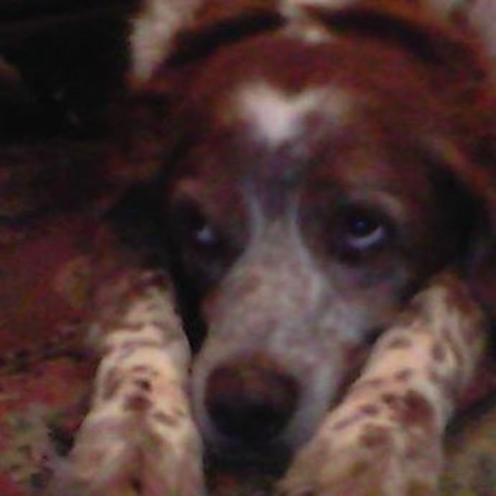 Meet your Posher, Parker